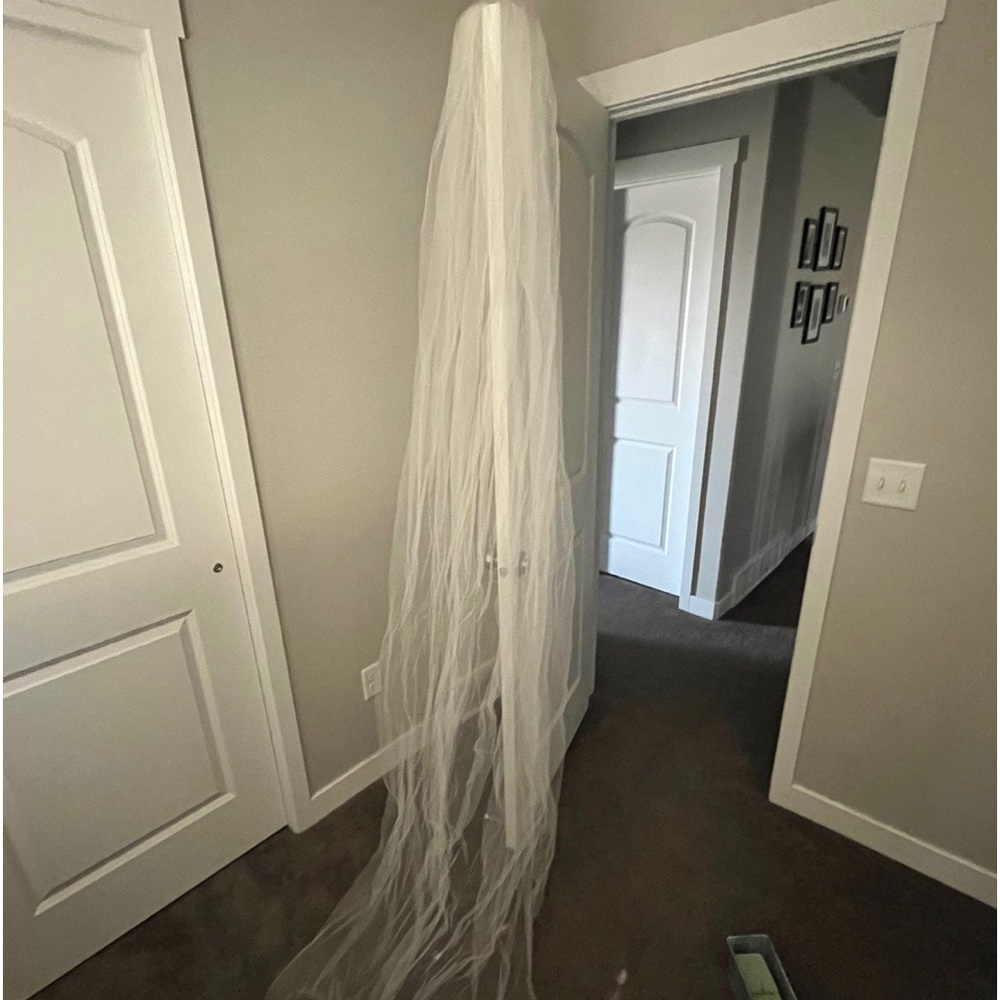 Cathedral veil